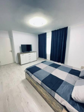 Studio de lux ultracentral, Piteşti